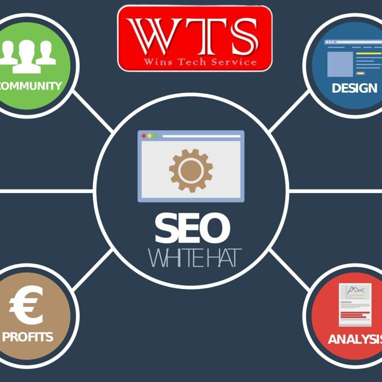 WTS Team Website Development Services in Samastipur